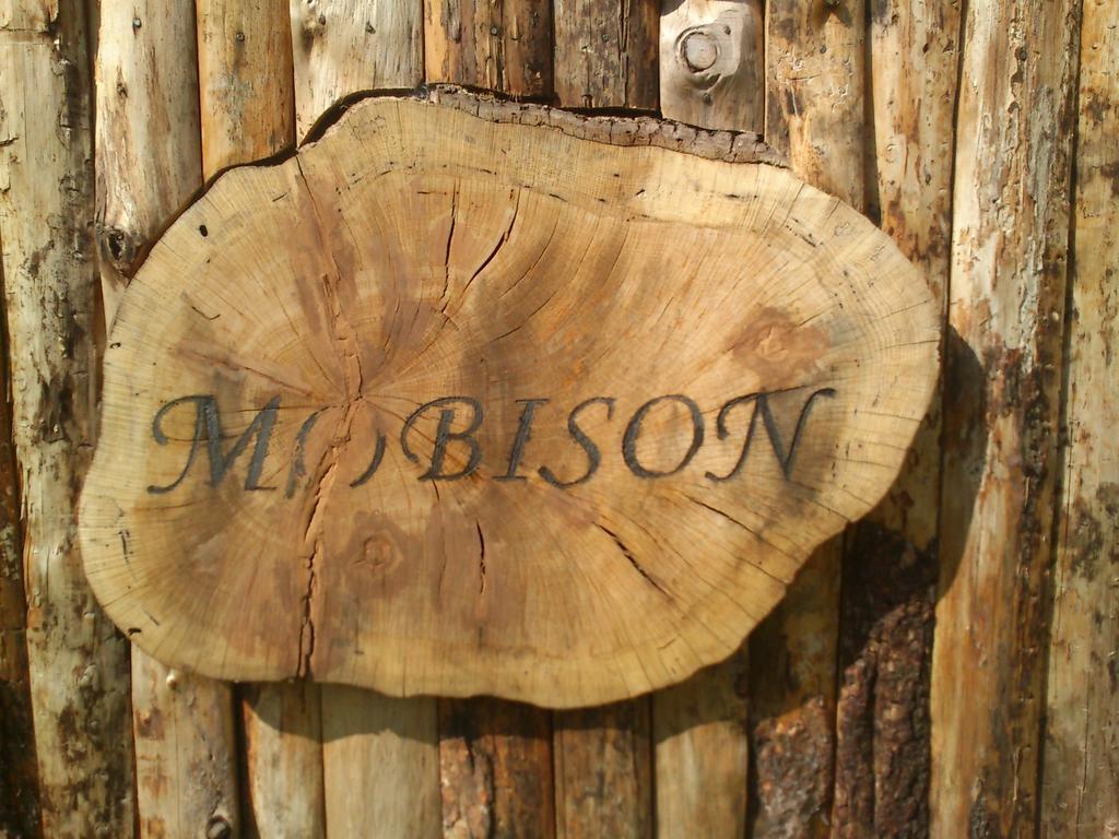 Apartamentos Mobison Salinas de Bielsa ภายนอก รูปภาพ